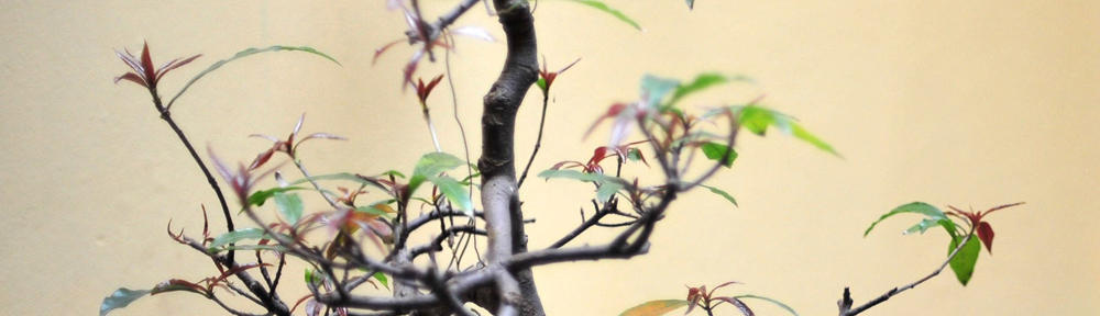 Club Aktiv Rhein-Ruhr e.V. 2024